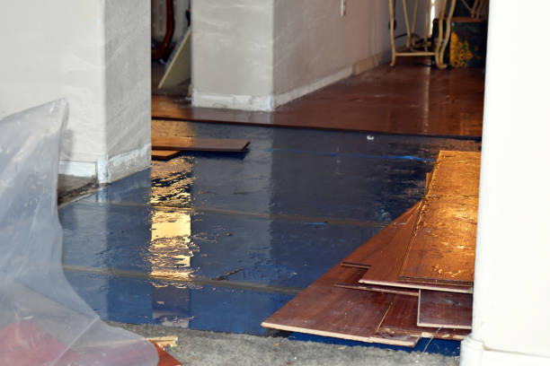 Professional Basement Flood Cleanup technician working in Colcord, OK